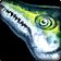 Raw Spotted Yellowtail