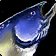 Raw Nightfin Snapper