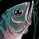 Raw Bristle Whisker Catfish